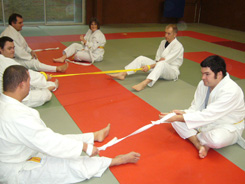 Judo et handicap