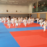 Dojo Antipolis Valbonne